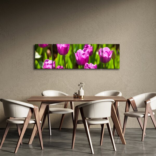 Obraz tulipanów na łące (170x50 cm)
