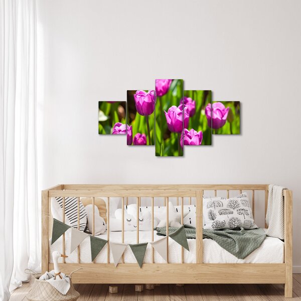 Obraz tulipanów na łące (125x70 cm)
