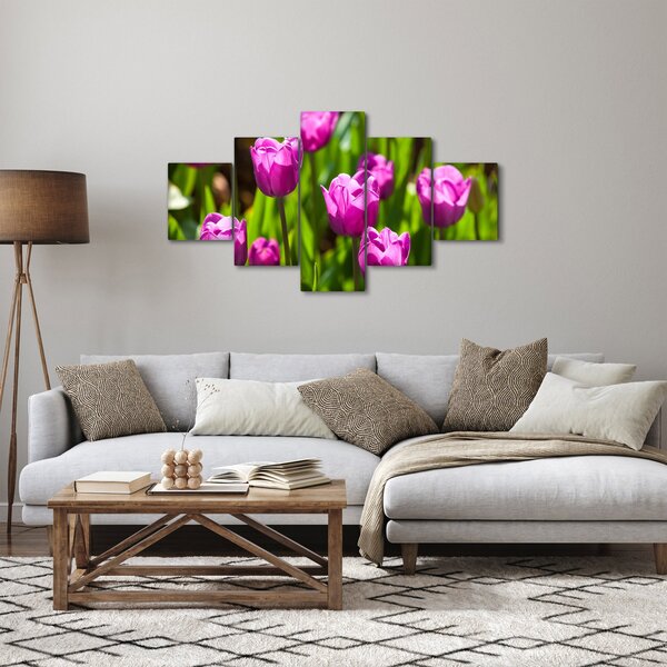Obraz tulipanów na łące (125x70 cm)