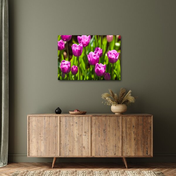Obraz tulipanów na łące (70x50 cm)