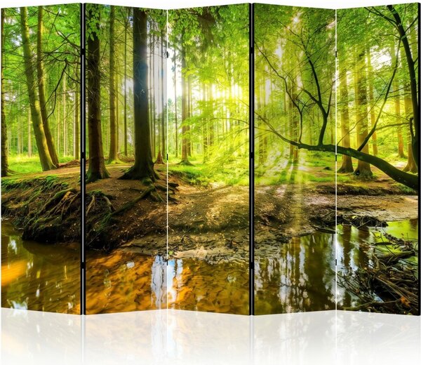 Parawan pokojowy 5-częściowy 225x172 Dwustronny dekoracyjny naturalistyczny Wielokolorowy Słońce W Zielonym Lesie
