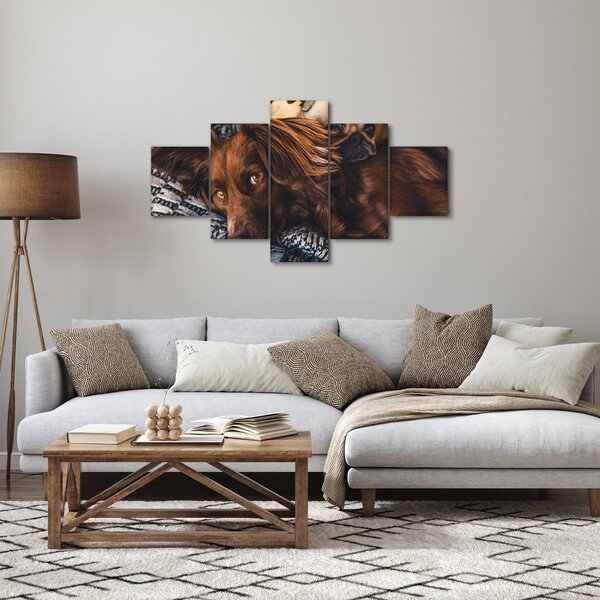 Obraz leżących psów (125x70 cm)