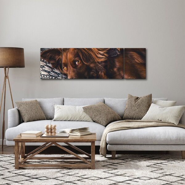 Obraz leżących psów (170x50 cm)