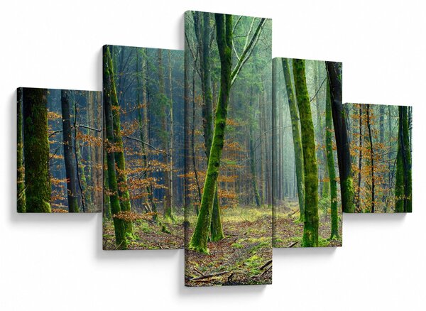 Obraz lasu (125x70 cm)