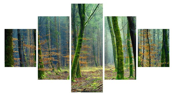 Obraz lasu (125x70 cm)