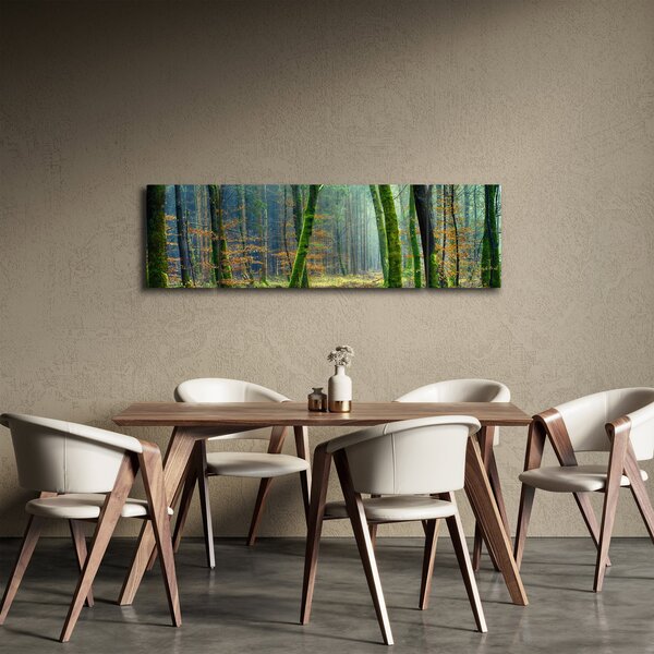 Obraz lasu (170x50 cm)