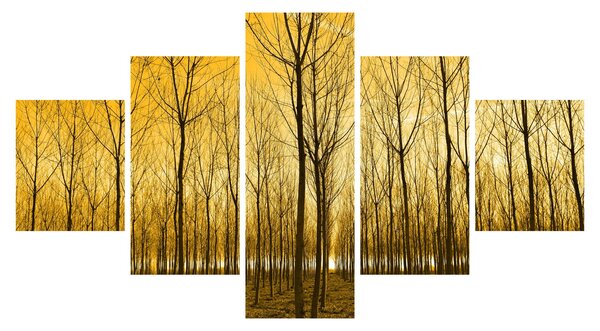 Obraz lasu o zachodzie słońca (125x70 cm)