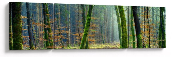 Obraz lasu (170x50 cm)