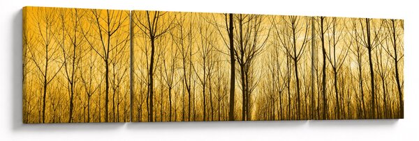Obraz lasu o zachodzie słońca (170x50 cm)