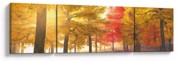 Obraz jesiennych drzew (170x50 cm)