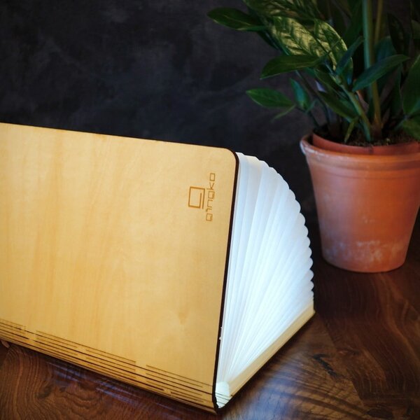 Dekoracja świetlna na USB w naturalnym kolorze Booklight – Gingko