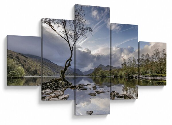 Obraz rzeki z drzewem (125x70 cm)