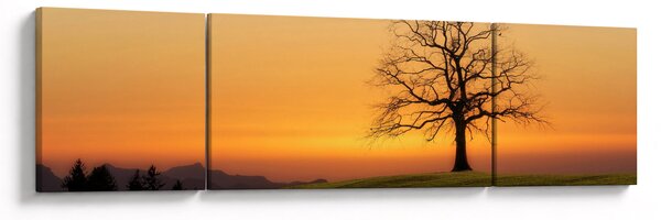Obraz zachodu słońca na łące (170x50 cm)