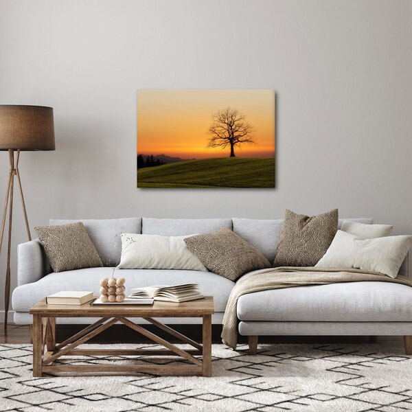 Obraz zachodu słońca na łące (70x50 cm)