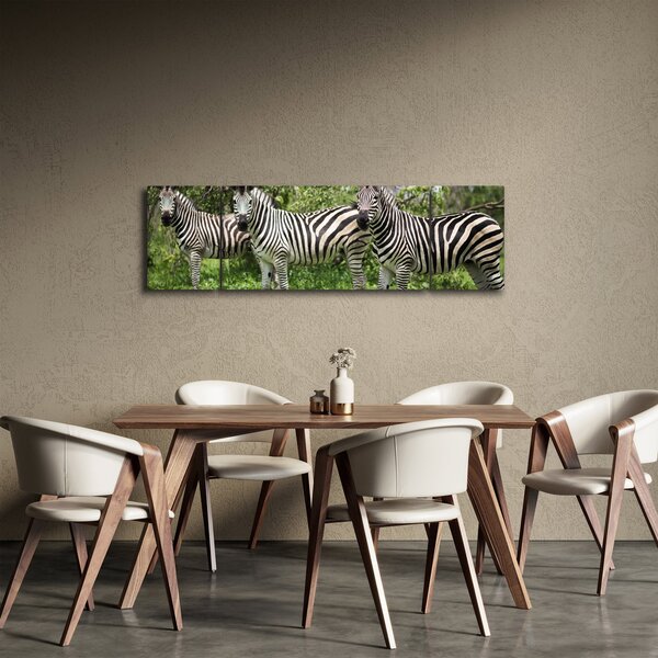 Obraz z zebrami (170x50 cm)