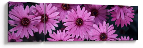 Obraz różowych kwiatów (170x50 cm)