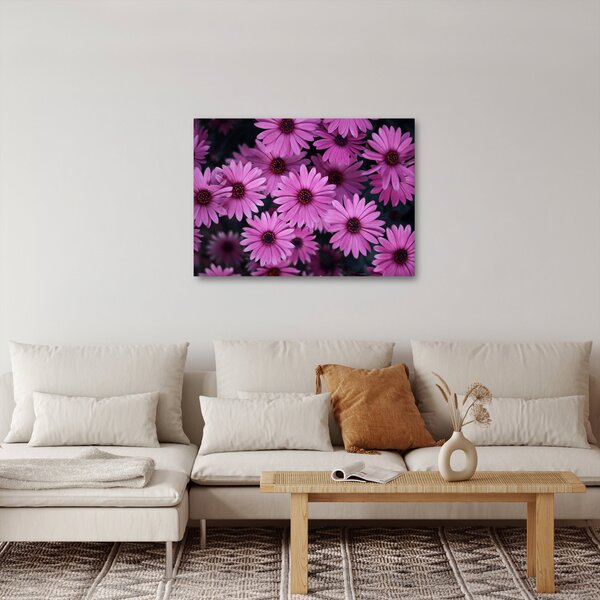 Obraz różowych kwiatów (70x50 cm)