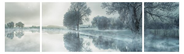 Obraz zimowej natury (170x50 cm)