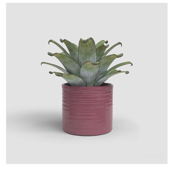 Ceramiczna ręcznie wykonana osłonka na doniczkę ø 18 cm Fortuna – Artevasi