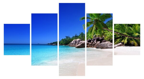 Obraz plaży na wyspie Praslin (125x70 cm)