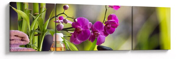 Obraz - spa and stones (170x50 cm)