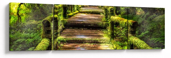 Obraz schodów w deszczowym pralesie (170x50 cm)