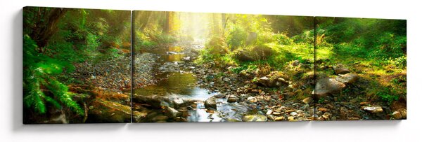 Obraz rzeki w zielonym lesie (170x50 cm)