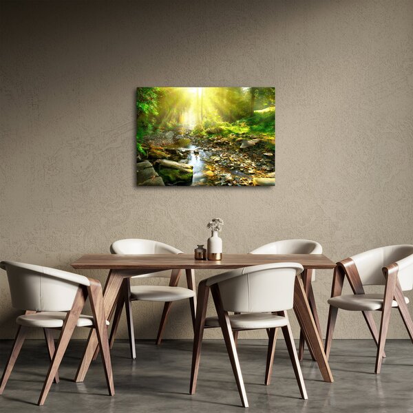 Obraz rzeki w zielonym lesie (70x50 cm)