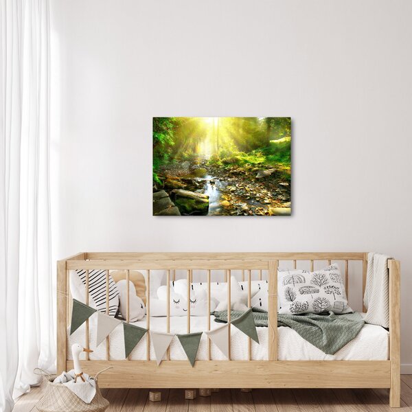 Obraz rzeki w zielonym lesie (70x50 cm)