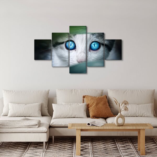 Obraz kota (125x70 cm)