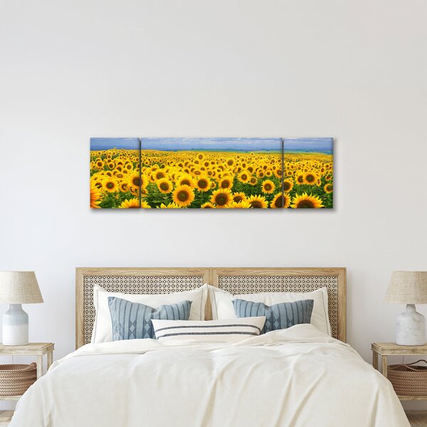 Obraz pola słoneczników (170x50 cm)