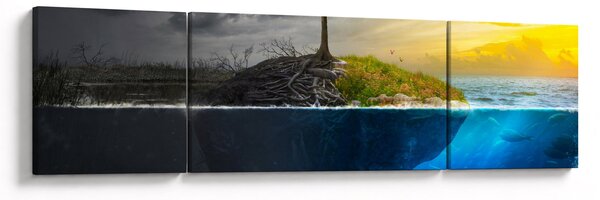 Obraz przedstawiający dwie strony (170x50 cm)