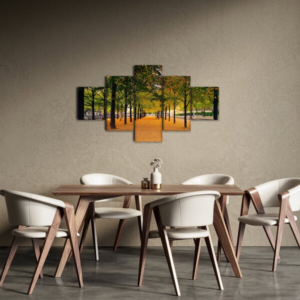 Obraz alei jesiennych drzew (125x70 cm)