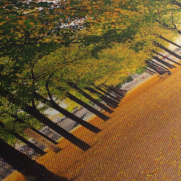 Obraz alei jesiennych drzew (125x70 cm)