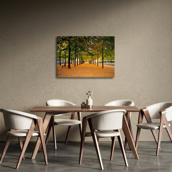 Obraz alei jesiennych drzew (70x50 cm)