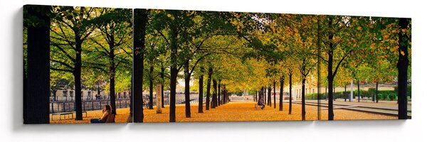 Obraz alei jesiennych drzew (170x50 cm)