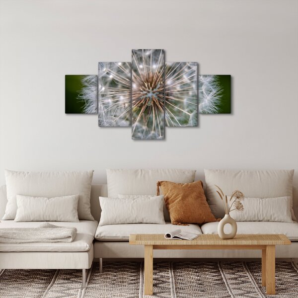 Obraz dmuchawca (125x70 cm)
