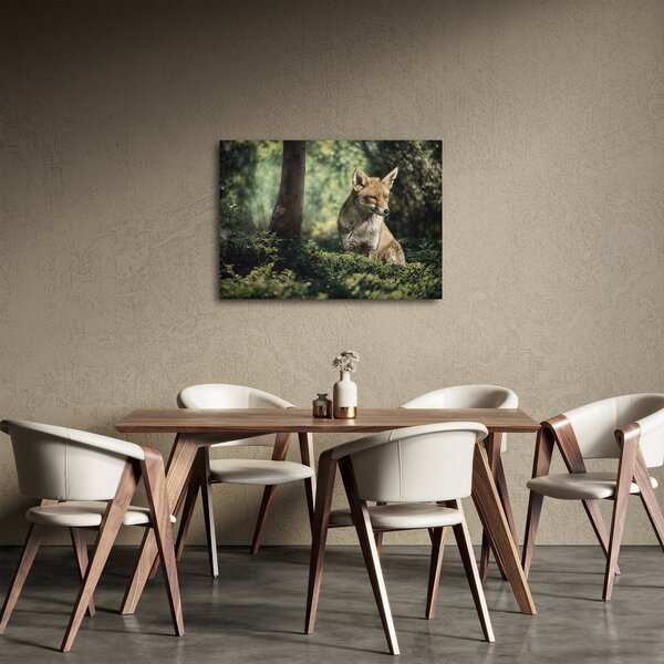 Obraz lisa (70x50 cm)
