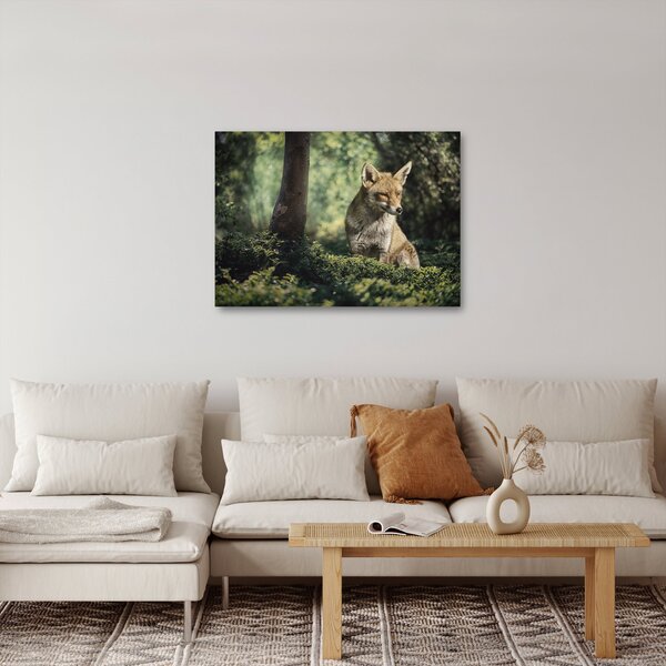 Obraz lisa (70x50 cm)