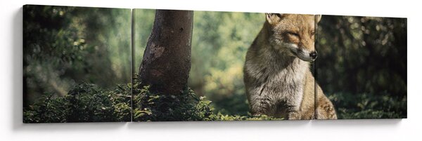Obraz lisa (170x50 cm)