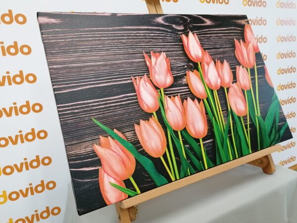 Obraz urocze pomarańczowe tulipany na drewnianym tle