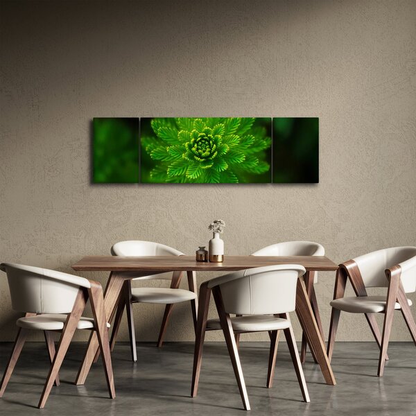 Obraz drzewa iglastego (170x50 cm)
