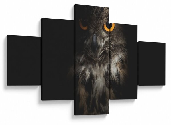 Obraz sowy (125x70 cm)