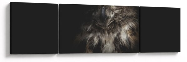 Obraz sowy (170x50 cm)
