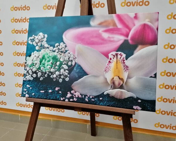 Obraz detale pięknej orchidei
