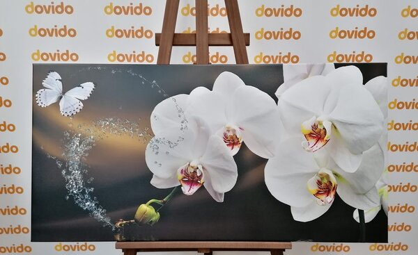 Obraz orchidea i motyl
