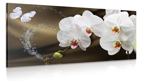 Obraz orchidea i motyl