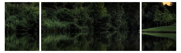 Obraz jeziora przy lesie (170x50 cm)