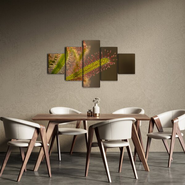 Obraz rośliny (125x70 cm)