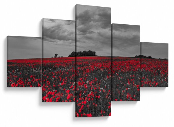 Obraz maków (125x70 cm)